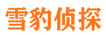 龙川侦探